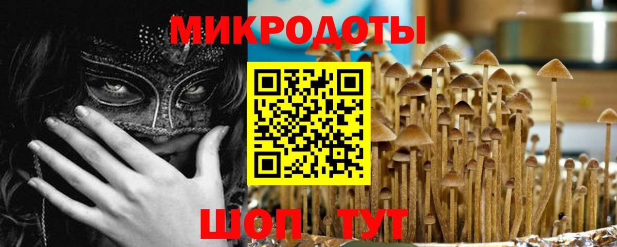 закладка  Вход с VPN  Галлюциногенные грибы Psilocybe  Долгопрудный  Псилоцибиновые грибы Psilocybine cubensis 