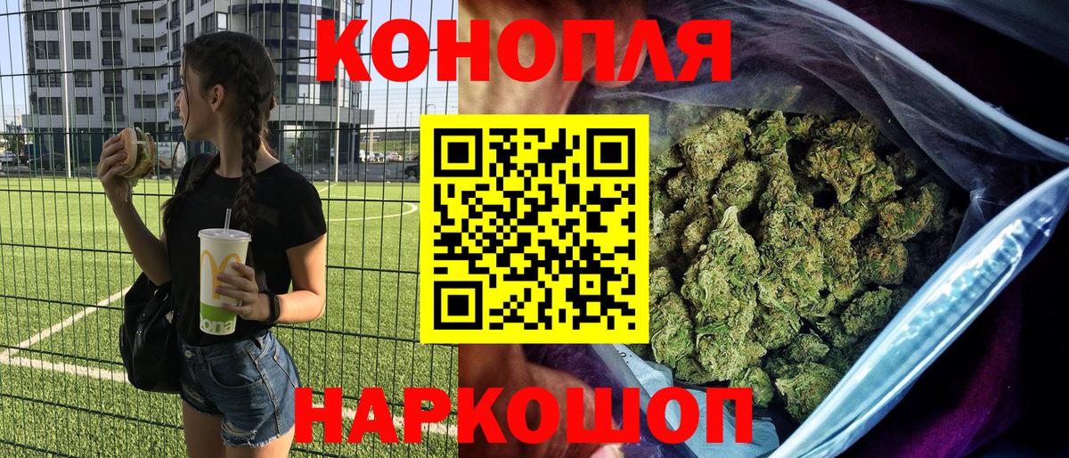Конопля сатива Долгопрудный